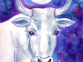 Bůvol je hora svalů a síly