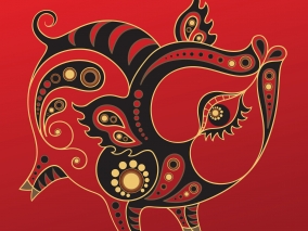 Divoký Vepř (kanec) 